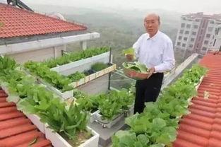 棉纺厂楼顶吃瓜,悠闲时光里的别样风景
