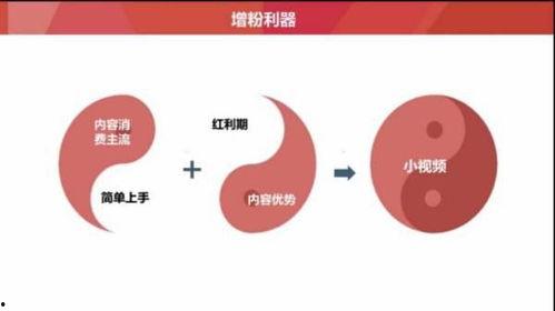 微头条发布入口有区别么,微头条发布入口差异解析