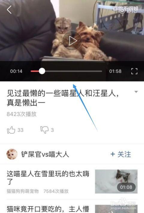 头条电脑如何看收藏,一探究竟的收藏奥秘