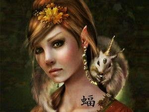 女土蝠的明星,星光熠熠的璀璨星途