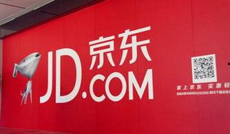 广东粤c新闻头条,聚焦广东最新动态，解码城市脉搏