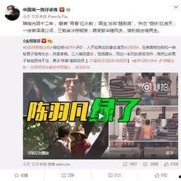 王四粉丝爆料视频最新,最新视频揭秘幕后故事