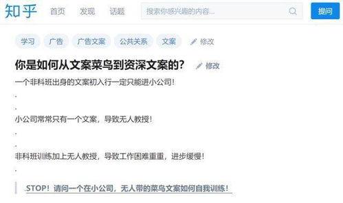 逛公园遇到网红的文案,公园打卡新潮流