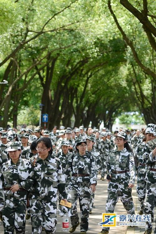 探长吃瓜军训跳舞,揭秘军营里的欢乐时光