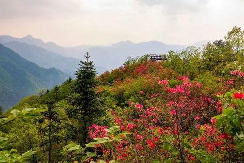 大别山网红,探寻网红打卡地的自然秘境之旅