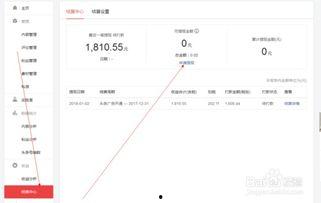 怎样查出头条里的钱,轻松查探你的头条钱包