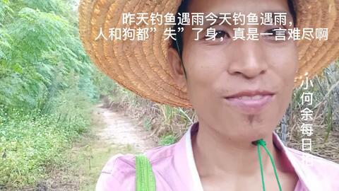 想吃明星屎,一场关于“想吃明星屎”的疯狂幻想之旅