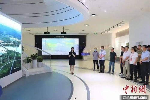 宁德网红男鞋店,潮流脚步，引领时尚风潮