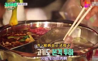 韩国明星吃火锅料理,舌尖上的韩流美食之旅