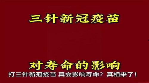 头条春天壁纸,壁纸映衬下的生机勃勃