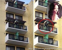 明星五楼坠楼,明星坠楼事件背后的真相揭秘”