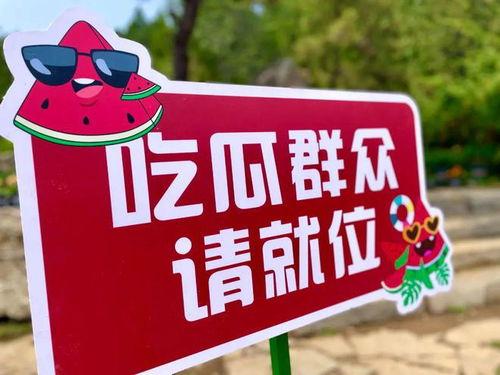 2024年在线吃瓜,盘点那些让人笑到肚子疼的瓜事