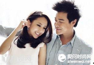 华人爆料陈思诚视频播放