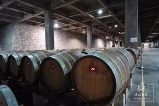 酒窖网红打卡地点,探寻酒窖里的时尚风情