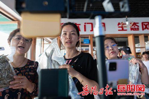 岳阳网红直播,直播带货新风尚，助力岳阳经济发展