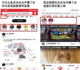 今日头条直播西瓜奖励