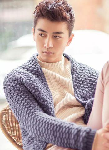 明星陈晓的图片