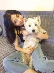 网红狗宝儿,网红狗狗的明星之路