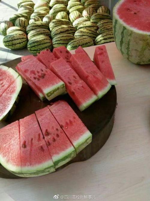 每日吃瓜大赛网,揭秘娱乐圈幕后风云